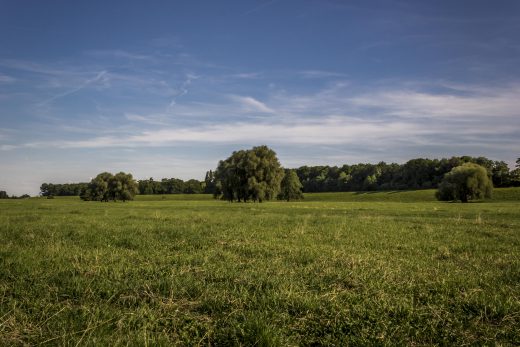 Hintergrundbild Rheinwiesen in Duisburg