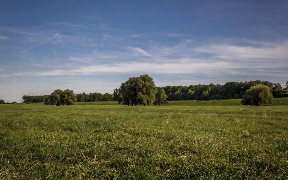 Hintergrundbild Rheinwiesen in Duisburg