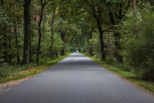 Hintergrundbild Durch den Wald
