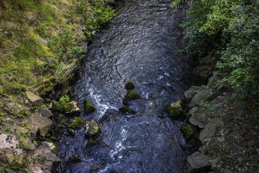 Hintergrundbild Hammbach von oben
