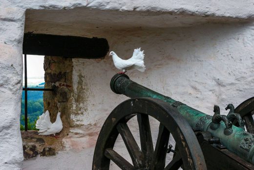 Hintergrundbild Kanone mit Tauben