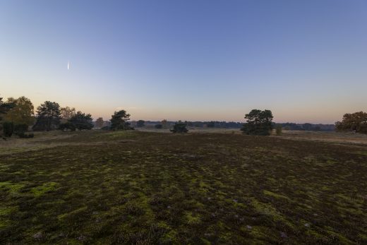 Hintergrundbild Abendstimmung in der Westruper Heide