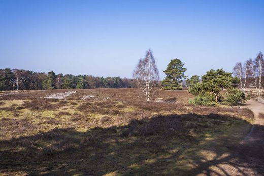 Hintergrundbild Blick in die Westruper Heide