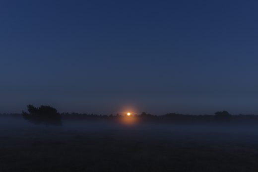 Hintergrundbild Westruper Heide - Außergewöhnlicher Blutmond