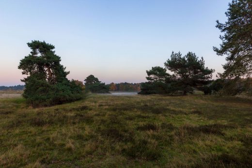 Hintergrundbild Die Heide nach dem Sonnenuntergang
