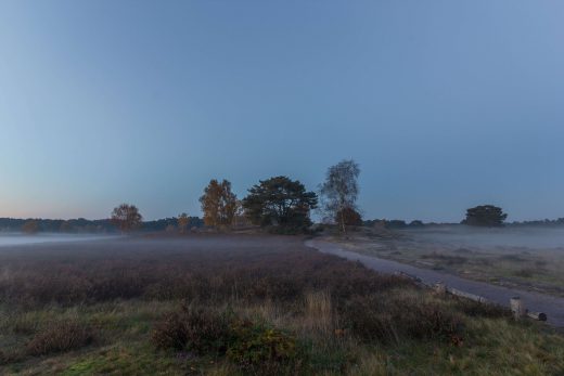 Hintergrundbild Dämmerung in der Westruper Heide