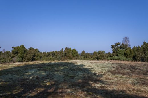Hintergrundbild Frühlingsmorgen in der Westruper Heide