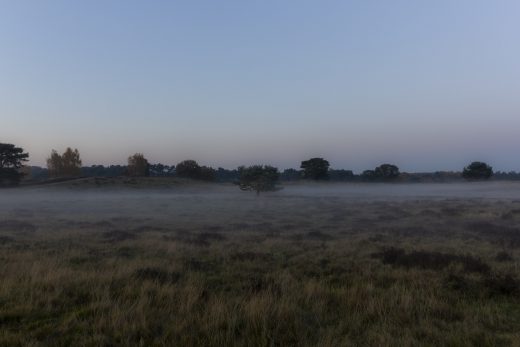 Hintergrundbild Novemberabend in der Heide