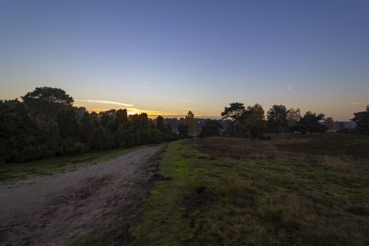 Hintergrundbild Weg in die Heide