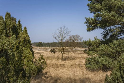 Hintergrundbild Westruper Heide - Durchblick
