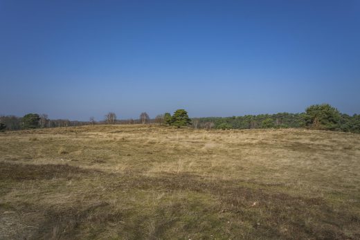 Hintergrundbild Westruper Heide - Frühlingstag