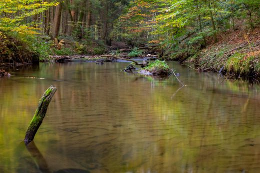 Hintergrundbild Bach im Herbst