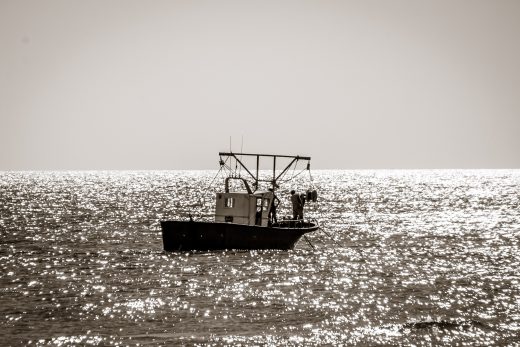 Hintergrundbild Muschelfischer