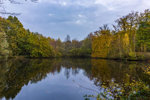 Hintergrundbild See im Schlosspark