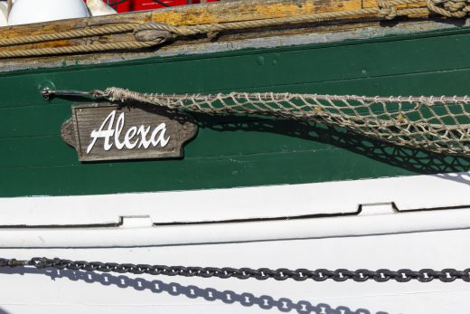 Hintergrundbild Haikutter Alexa