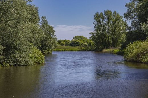Hintergrundbild Kleiner Teich an der Kuhbrücksau
