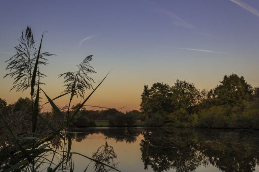 Hintergrundbild - Abendstimmung am Mühlteich