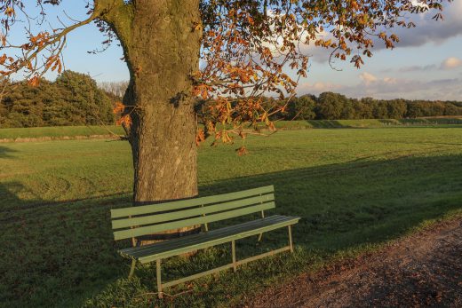 Hintergrundbild - Bank zum Ausruhen