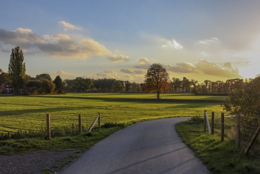 Hintergrundbild - Felder im Abendlicht