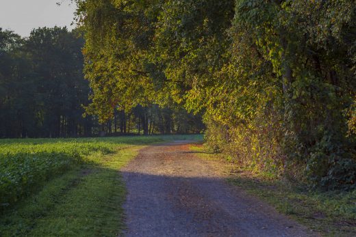 Hintergrundbild - Feldweg im Herbst