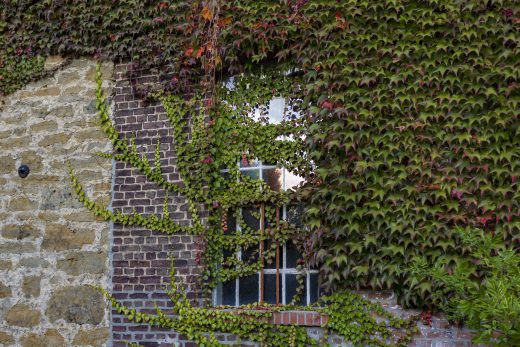Hintergrundbild - Fenster der Tüshaus Mühle