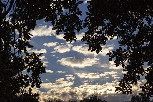 Hintergrundbild - Herbstlicher Abendhimmel