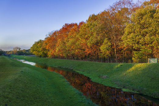Hintergrundbild - Herbststimmung am Bach
