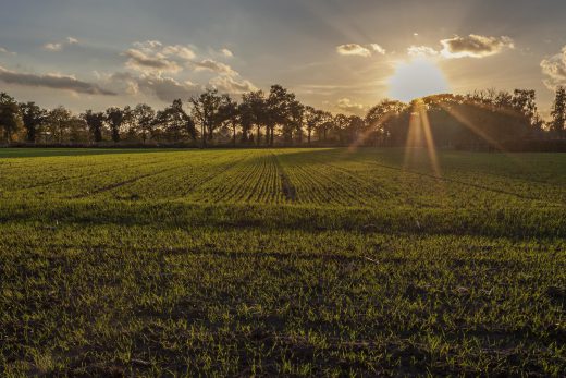 Hintergrundbild - Herbststimmung über Feldern