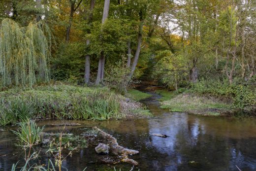 Hintergrundbild - Mühlbach mit Unterwasser