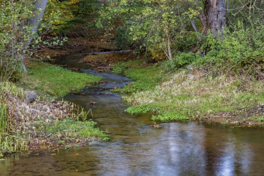 Hintergrundbild - Mühlenbach am Unterwasser