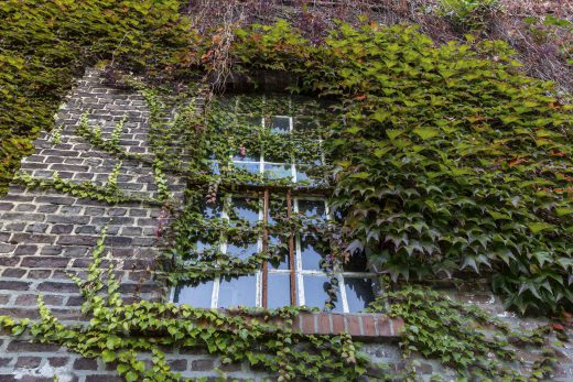 Hintergrundbild - Mühlenfenster mit wildem Wein