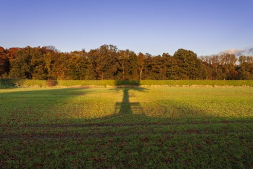 Hintergrundbild - Schattenspiele im Herbst