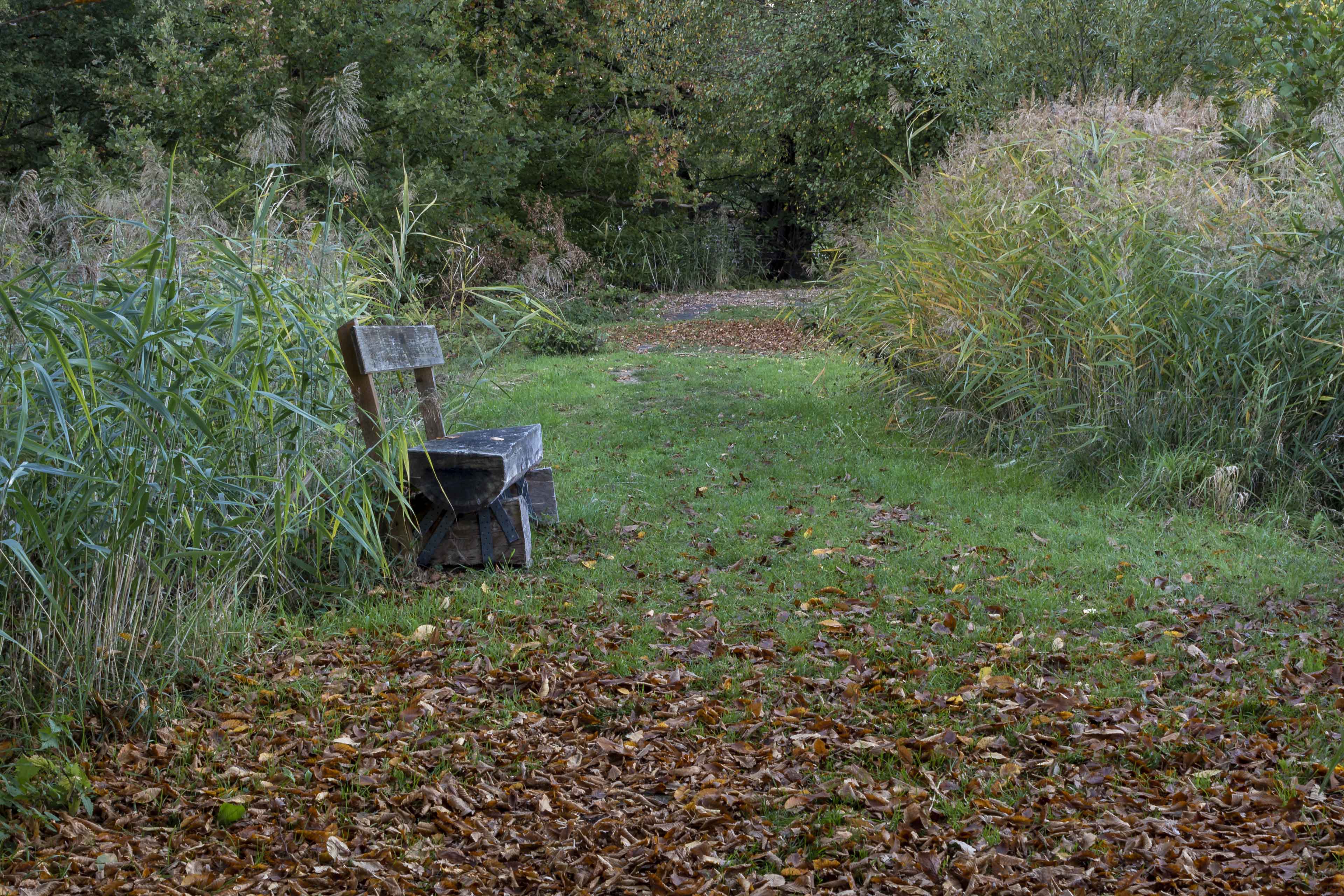 Hintergrundbild – Sitzbank am Mühlteich