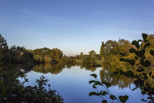 Hintergrundbild - Spiegelungen auf dem Mühlteich