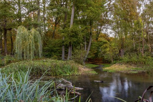 Hintergrundbild - Unterwasser der Tüshaus Mühle