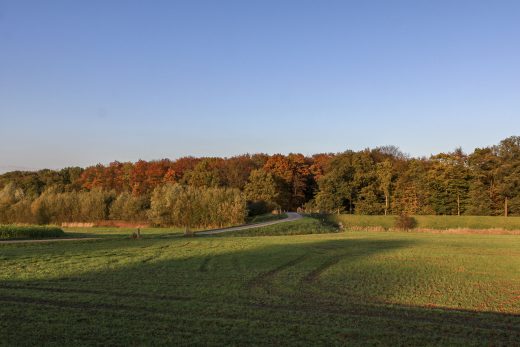 Hintergrundbild - Wald und Felder im Herbst