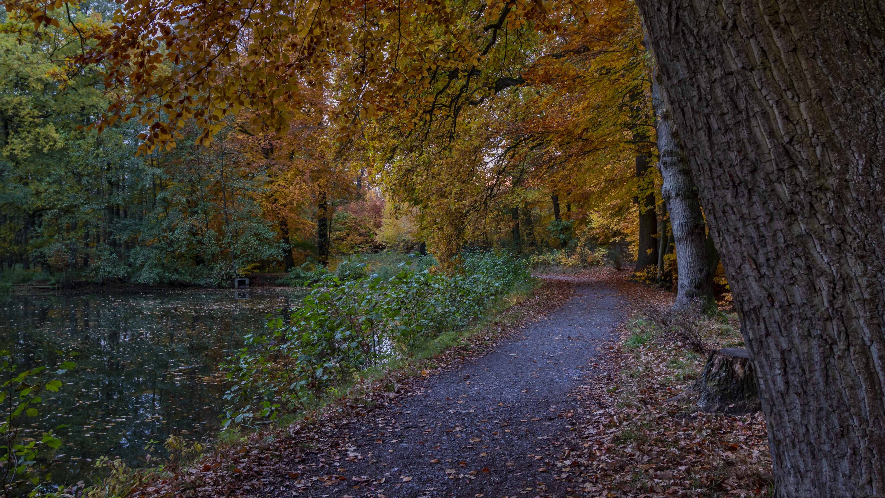 Hintergrundbilder Herbst Am Muhlenbach