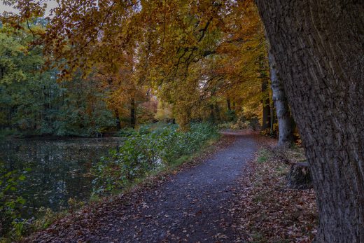 Hintergrundbild - Herbst am Mühlenbach