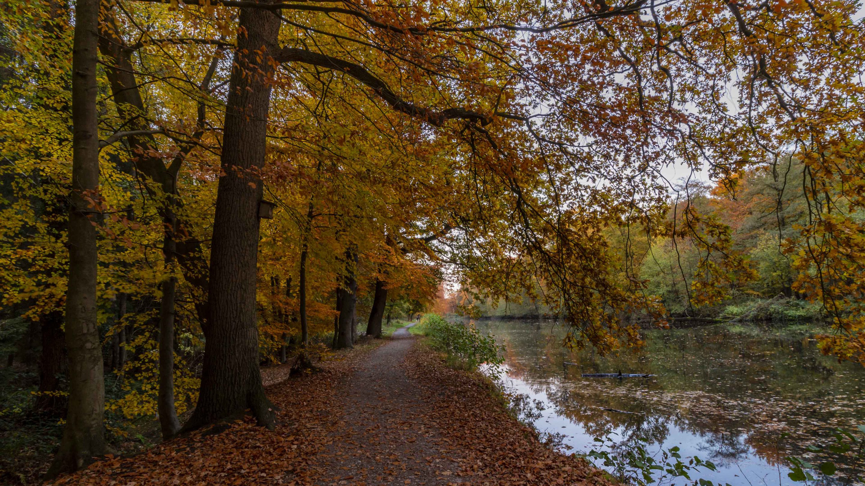 Hintergrundbilder Herbst Im Schlosspark