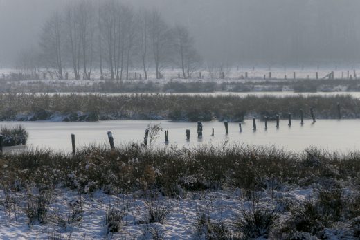 Hintergrundbild - Hervester Bruch im Winter