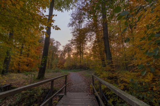 Hintergrundbild - Kleine Brücke im Schlosspark
