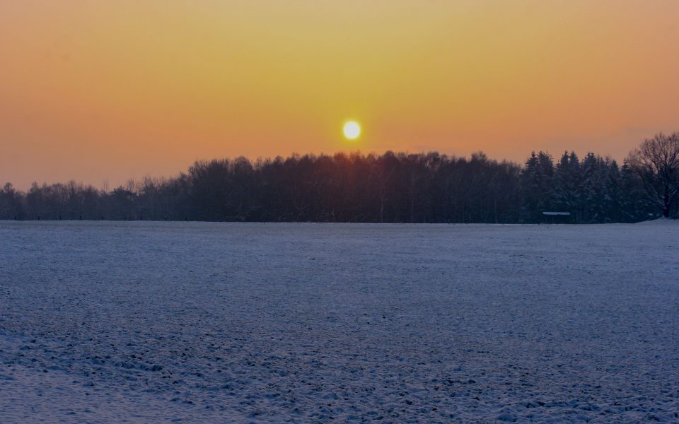 Hintergrundbild - Sonnenaufgang an einem Wintermorgen