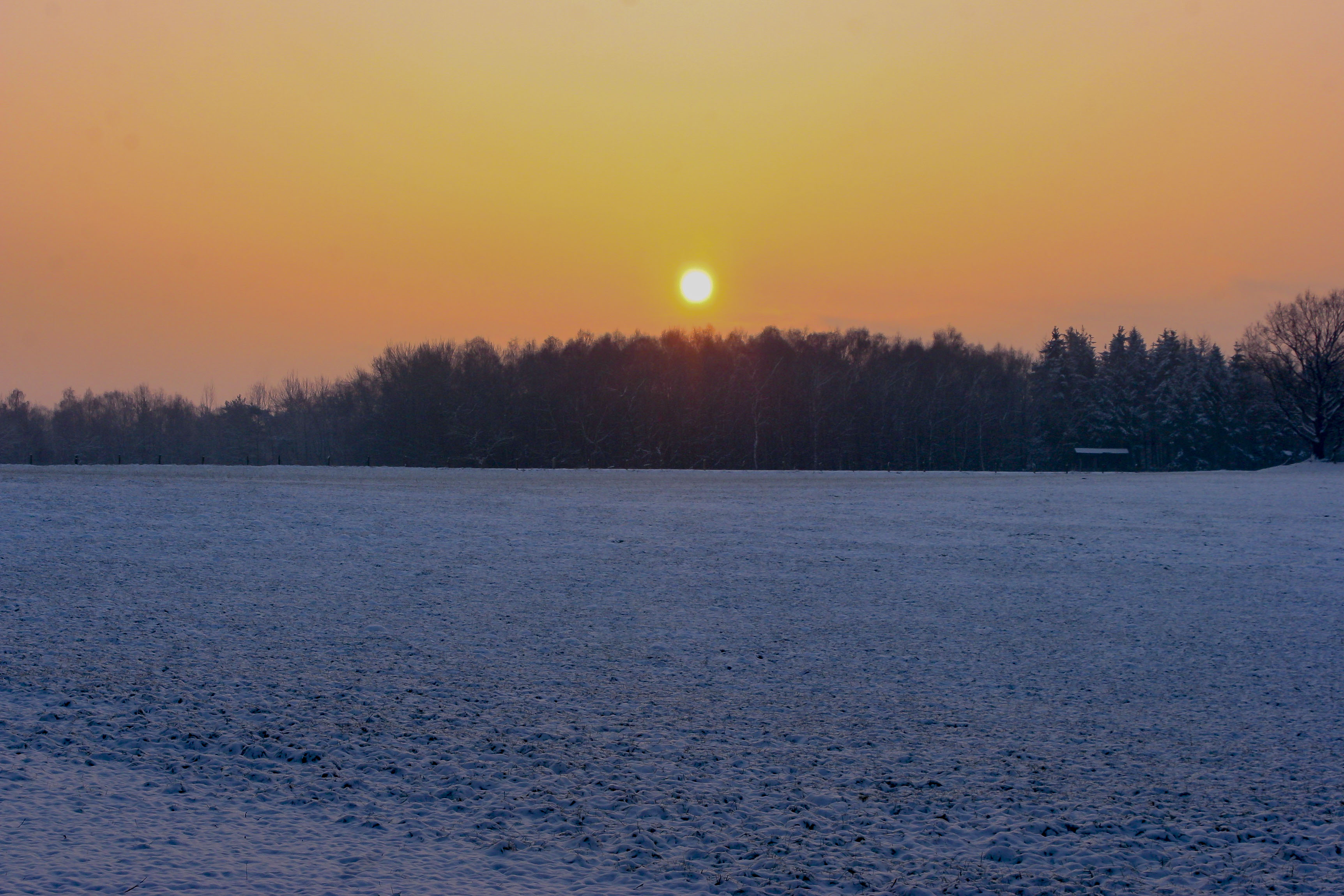 Winter Hintergrundbilder | Kostenlose Hintergrundbilder