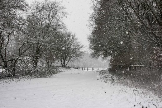 Hintergrundbild - Verschneiter Weg 1