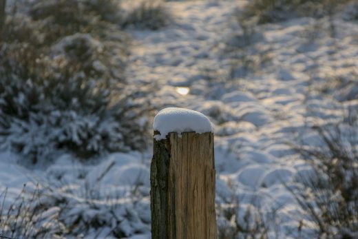 Hintergrundbild - Weidepfosten mit Schnee