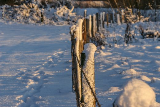 Hintergrundbild - Weidezaun im Winter