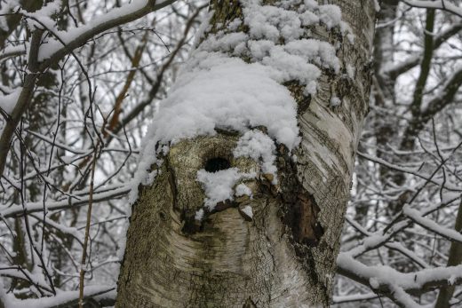 Hintergrundbild - Wer wohnt hier wohl