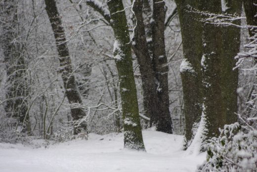 Hintergrundbild - Winterliches Schneetreiben