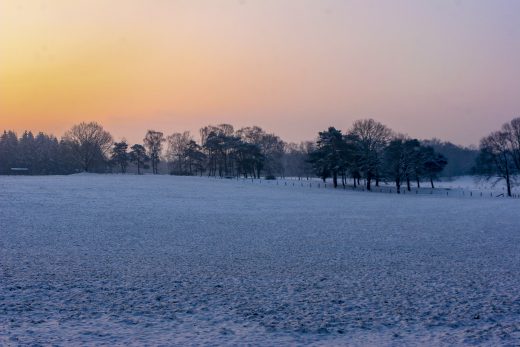 Hintergrundbild - Wintermorgen mit Morgenröte
