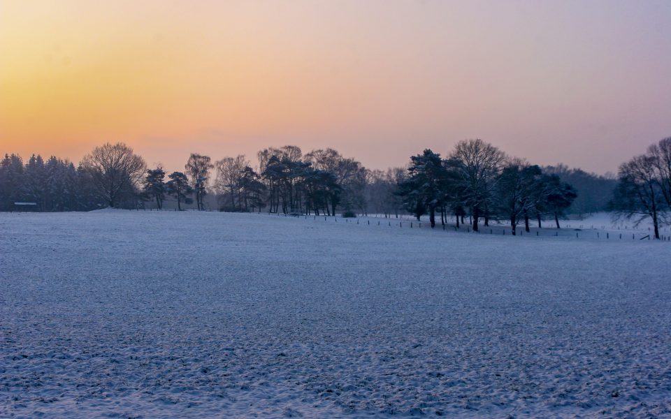Hintergrundbild - Wintermorgen mit Morgenröte